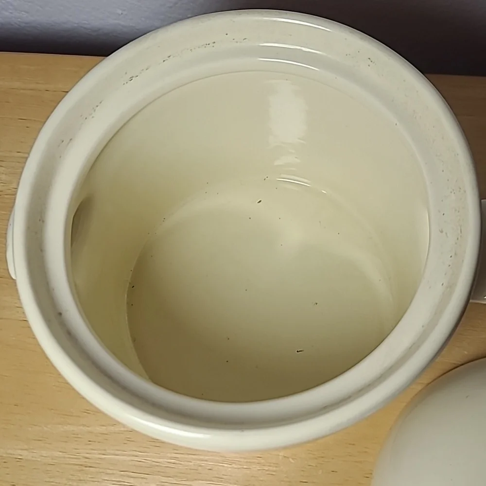 Campbell's soup bowl